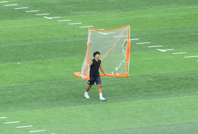 这一问题的